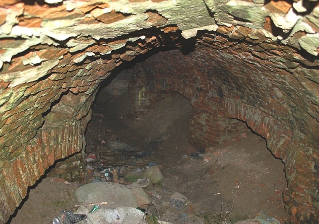 Gucin Gaj
