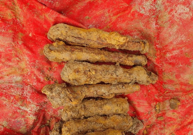 amunicja w wieliczce