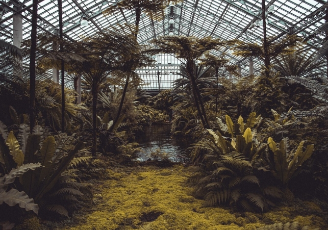 ogrod botaniczny