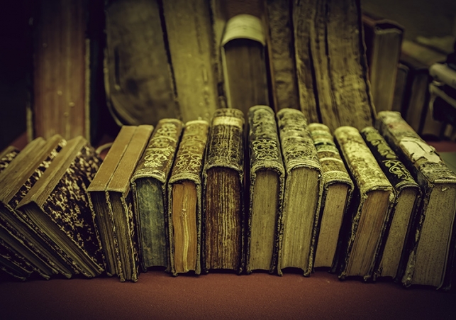cyfrowy asystent w bibliotece kornickiej