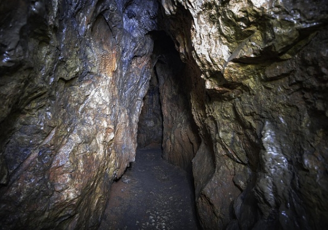 Neanderthals