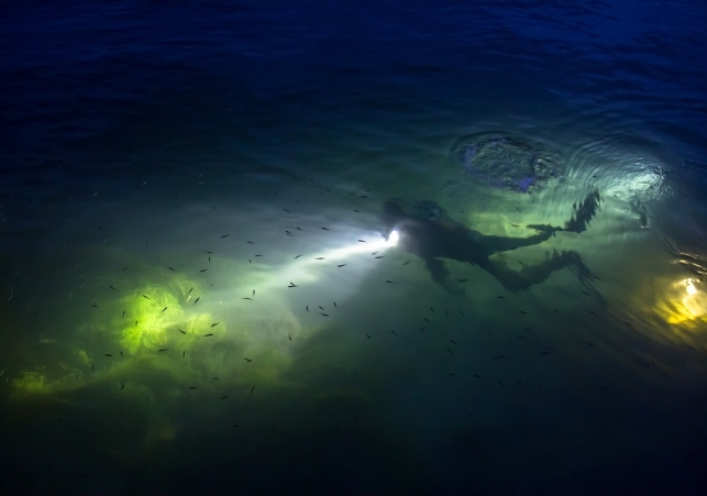 diving-2701889_960_720