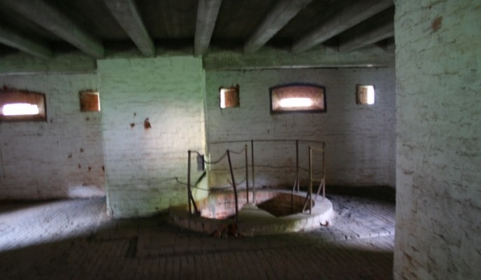 fortnysa