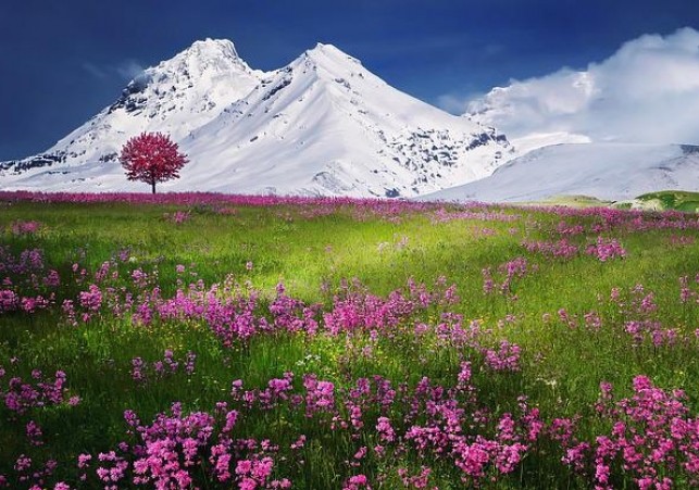laki w alpach