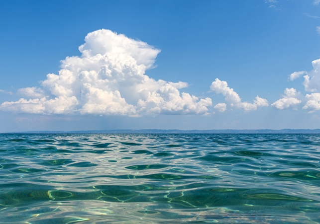 ocean