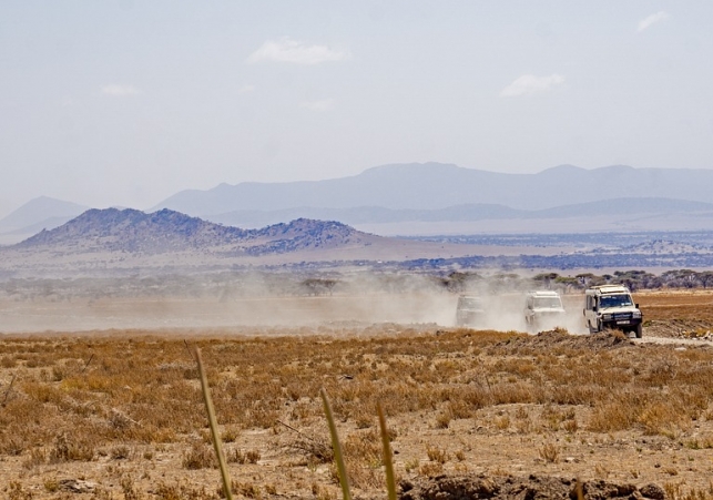 serengeti