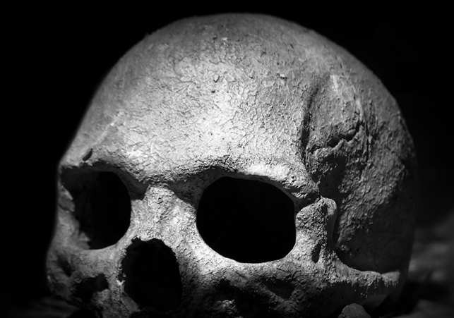 skull