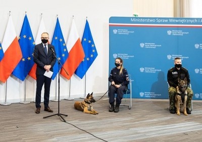 psy w służbie