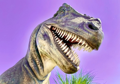 badania dinozaurów