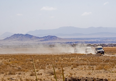 serengeti