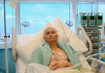 serial litwinienko