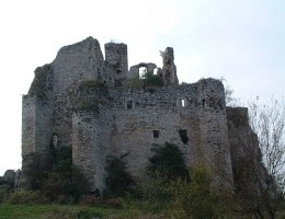 zamek mirow