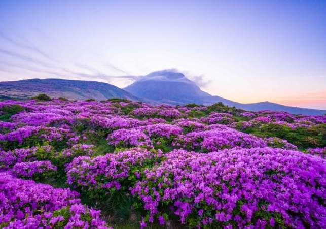 wyspa jeju